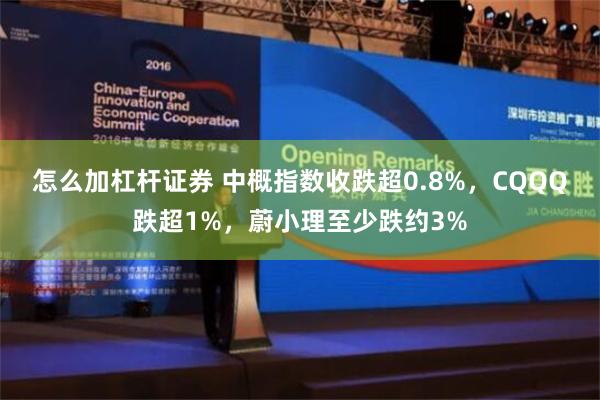 怎么加杠杆证券 中概指数收跌超0.8%，CQQQ跌超1%，蔚小理至少跌约3%