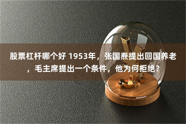 股票杠杆哪个好 1953年，张国焘提出回国养老，毛主席提出一个条件，他为何拒绝？