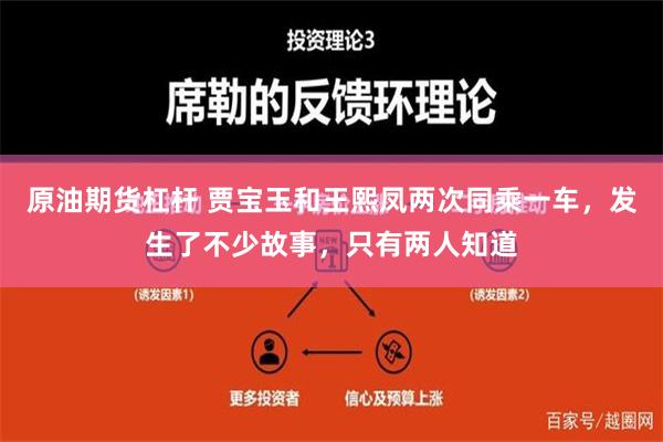 原油期货杠杆 贾宝玉和王熙凤两次同乘一车，发生了不少故事，只有两人知道