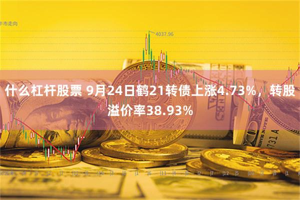 什么杠杆股票 9月24日鹤21转债上涨4.73%，转股溢价率38.93%