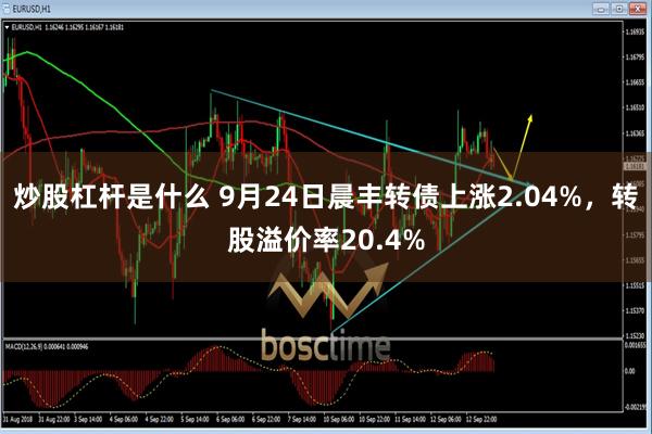 炒股杠杆是什么 9月24日晨丰转债上涨2.04%，转股溢价率20.4%