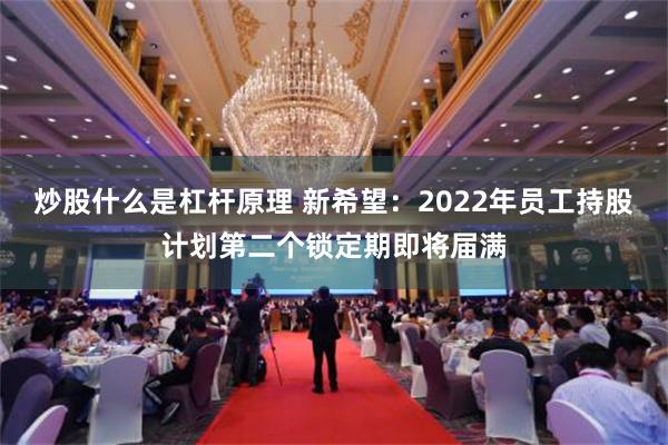 炒股什么是杠杆原理 新希望：2022年员工持股计划第二个锁定期即将届满