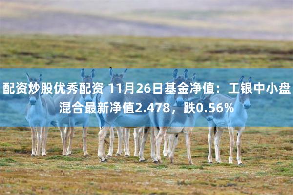 配资炒股优秀配资 11月26日基金净值：工银中小盘混合最新净值2.478，跌0.56%