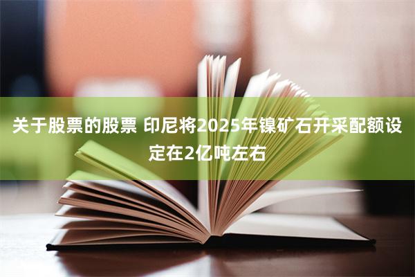 关于股票的股票 印尼将2025年镍矿石开采配额设定在2亿吨左右